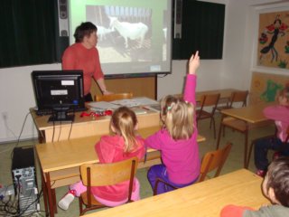 photo40.jpg