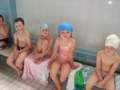 Photo Number 5